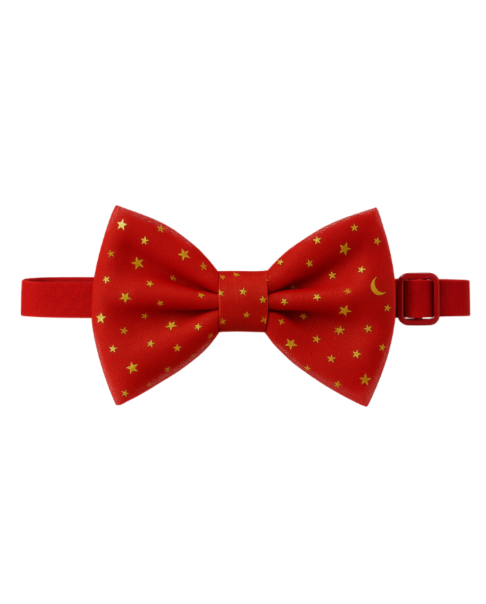 Nœud papillon rouge doré enfant